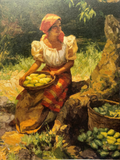 Amorsolo Chroma