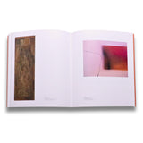 Zobel: The Future of the Past (Prado Catalogue)
