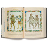 Boxer Codex (2nd Edition)