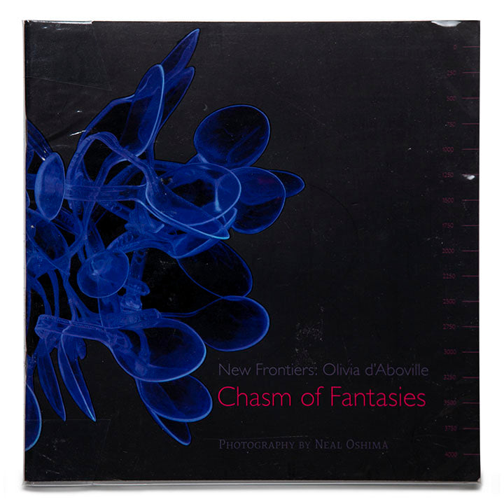New Frontiers: Olivia d'Aboville - Chasm of Fantasies