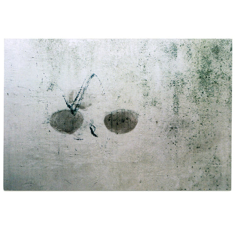 If Walls Could Speak