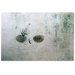 If Walls Could Speak